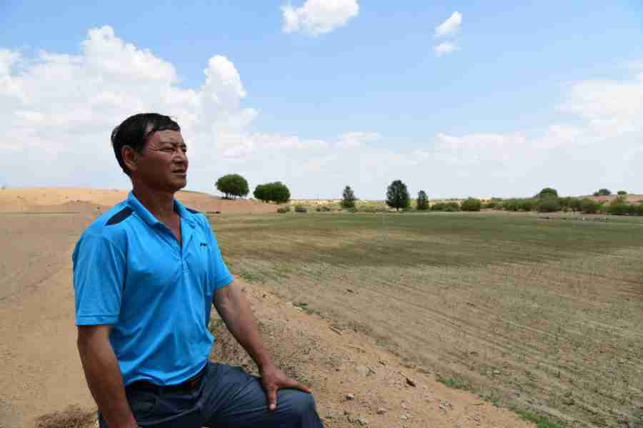 Mu Us Desert in Inner Mongolia sees amazing improvements in desertification control