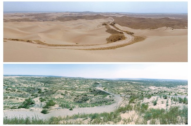 NW China's Ningxia turns Mu Us Desert into oasis