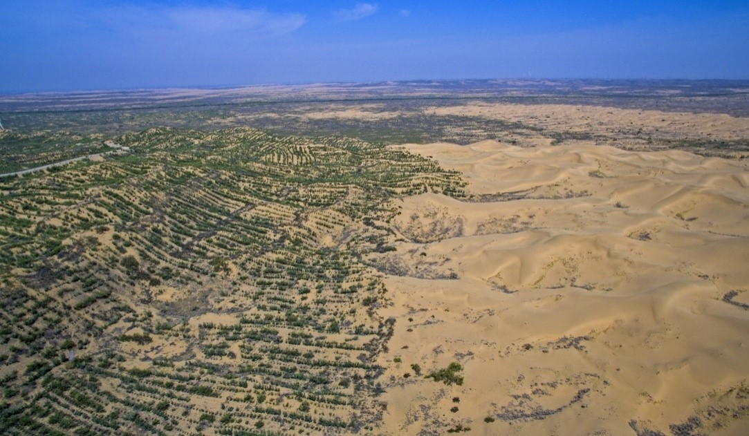 China witnesses miracle of turning Mu Us Desert into oasis
