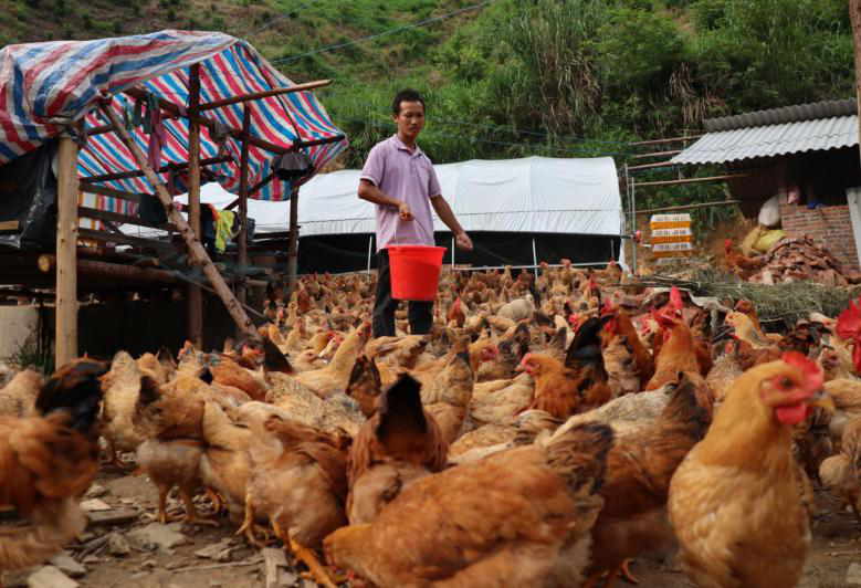 High-speed rail helps S China’s Guangxi fight poverty