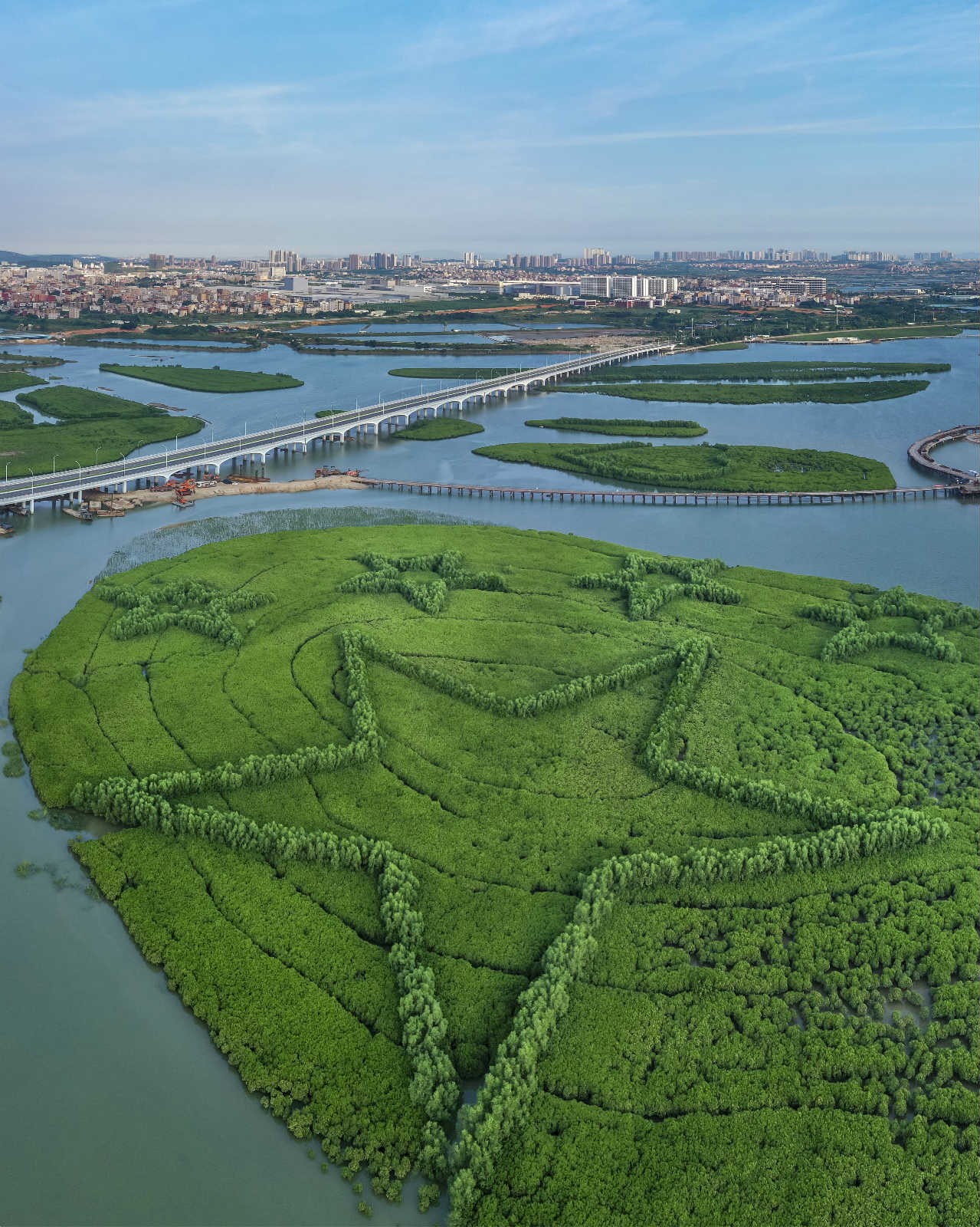 China to have 18,800 hectares of mangrove forests by 2025: action plan