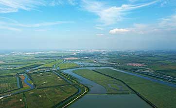 Ecological restoration helps Tianjin's Qilihai Wetland regain vitality