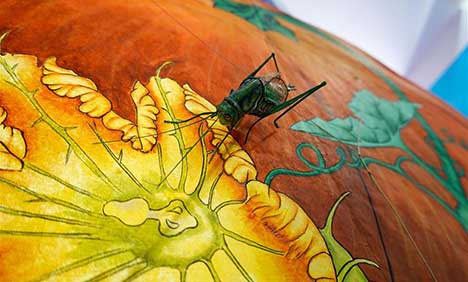 73-yr-old kite maker: CIFTIS good platform to promote cultural industries