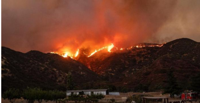 Seven people confirmed dead in wildfires in U.S. Oregon
