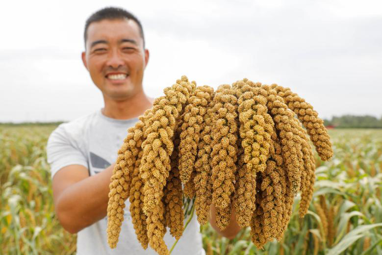 Harvest brings joy to Chinese farmers