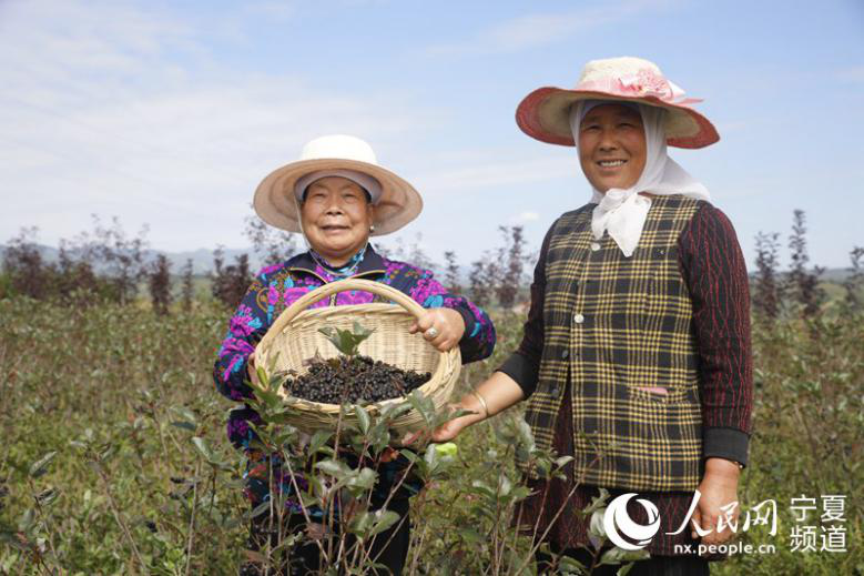 Harvest brings joy to Chinese farmers