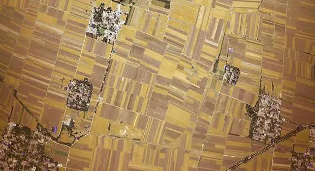 Satellite images capture China’s harvest season