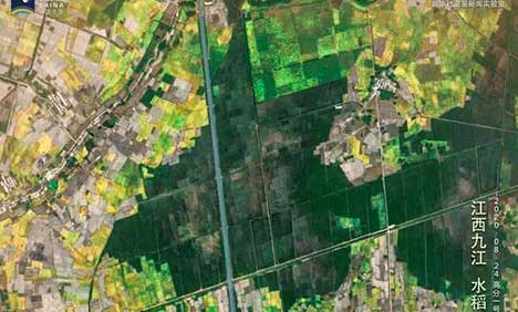 Satellite images capture China’s harvest season