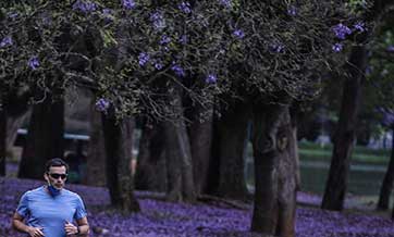 In pics: first day of spring in Sao Paulo, Brazil