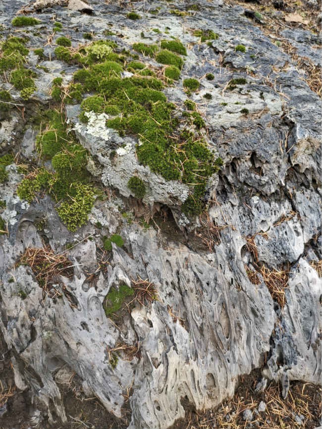 Colorful autumn scenery of Wudalianchi scenic area in NE China’s Heilongjiang
