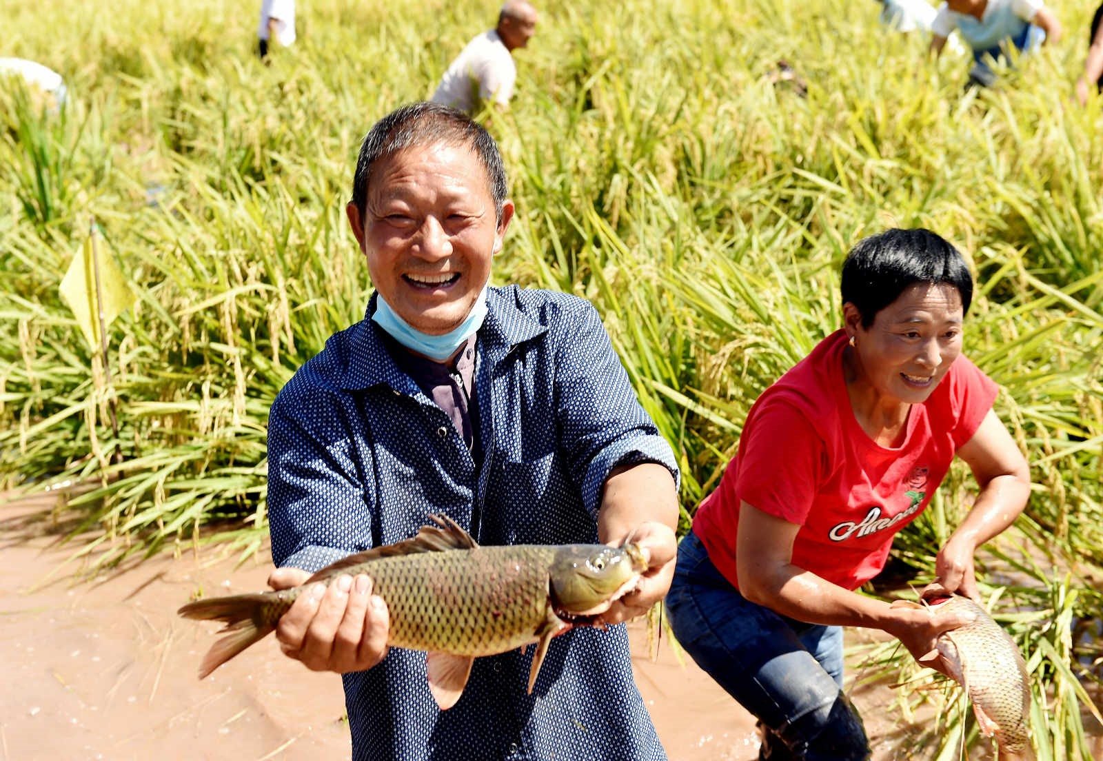 Chinese farmers celebrate harvest, embrace moderately prosperous society in all respects