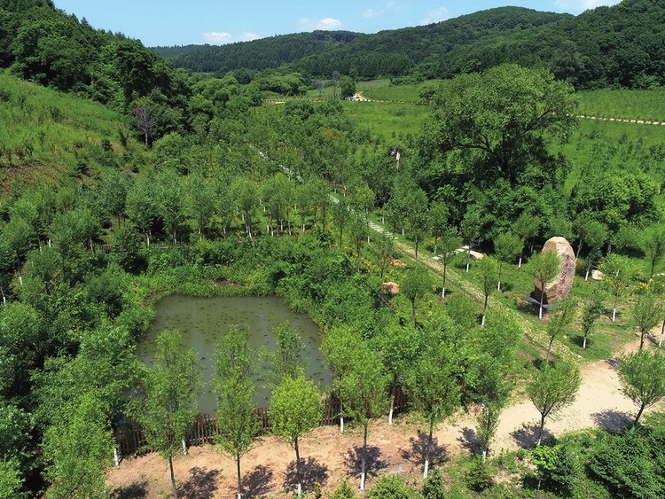 NE China’s Liaoyuan city achieves rich fruits in treating water pollution, restoring ecology