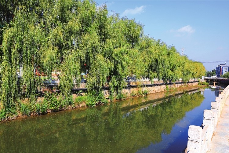 NE China’s Liaoyuan city achieves rich fruits in treating water pollution, restoring ecology