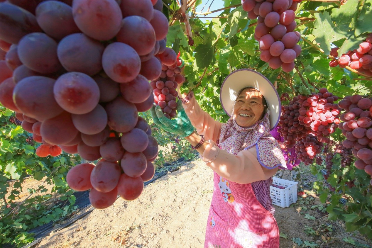 Relocated residents from Xinjiang get rid of poverty, embrace better life