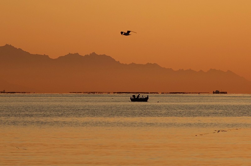 Qingdao's Xihai'an New Area drives maritime economy with technological innovation