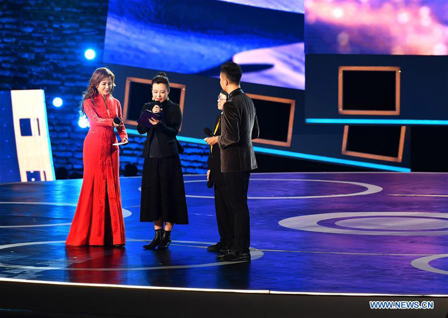 Silk Road film festival opens in NW China