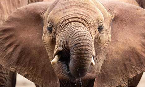 In pics: natural landscapes in Africa