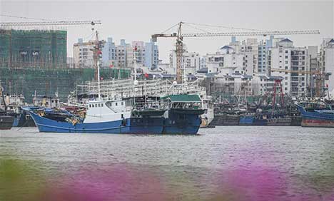 Ferry services suspended, schools closed as typhoon approaches