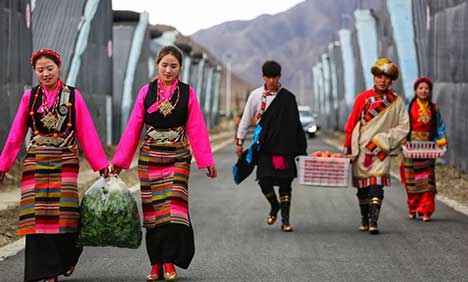 Vegetable greenhouses in Tibet leads local farmers to better life