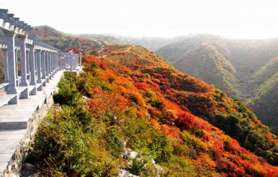 Zhengzhou attains remarkable achievements in building moderately prosperous society in all respects