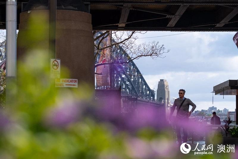 Sydney streets come alive with over 100,000 flowers for Living Color displays
