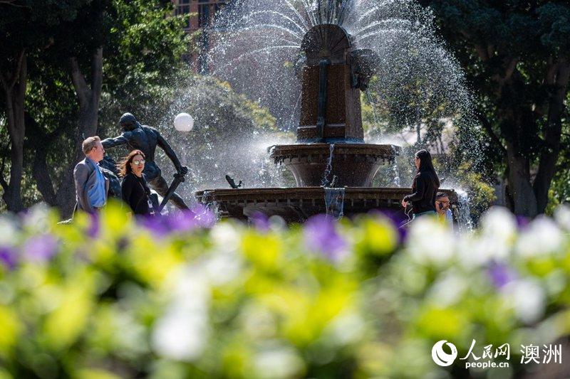 Sydney streets come alive with over 100,000 flowers for Living Color displays