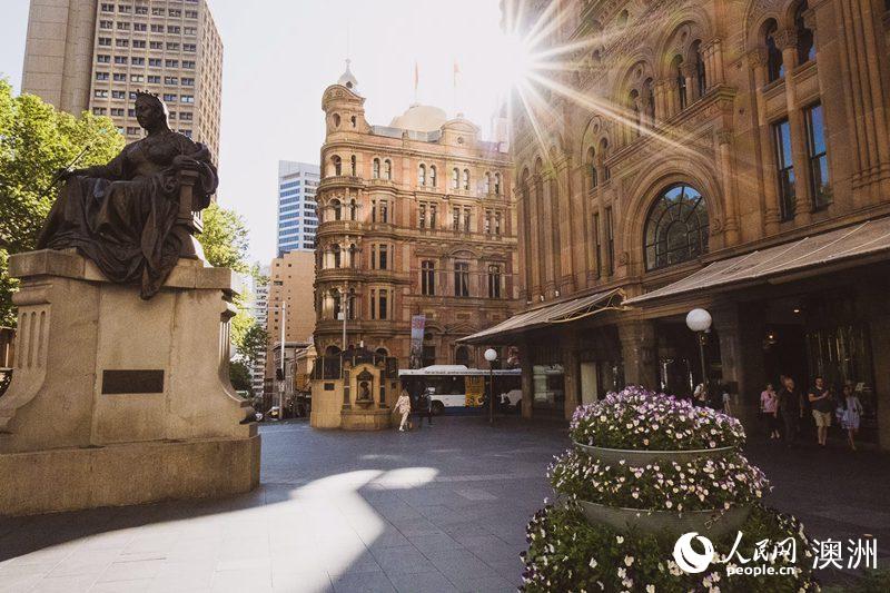 Sydney streets come alive with over 100,000 flowers for Living Color displays