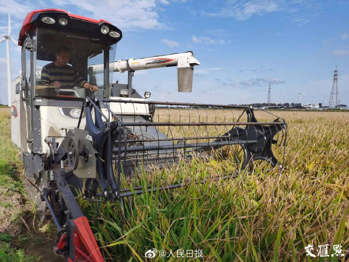 Yuan Longping’s team sets new record for salt-resistant rice yield