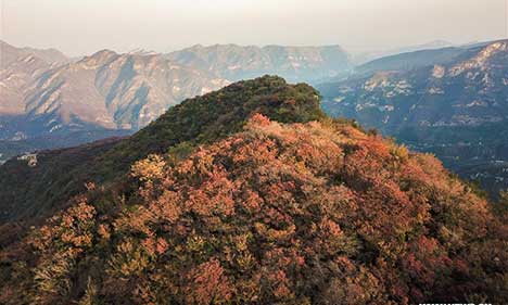 Autumn scenery at Pofengling Scenic Area in Beijing