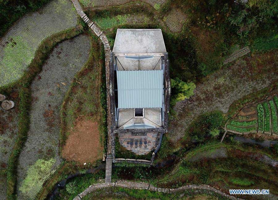 In pics: paddy fields-surrounded bookstore in Fujian