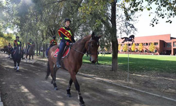 4.37-km-long urban horse-culture road opens in Beijing