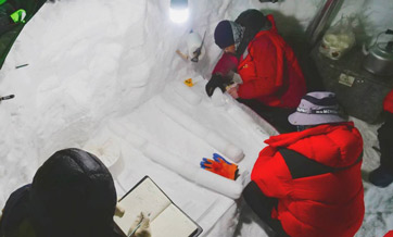 Glacial ice core drilled on Qinghai-Tibet Plateau drives Chinese research