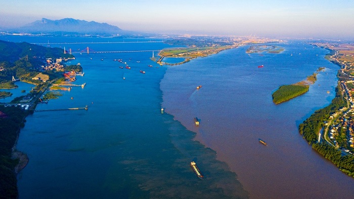Cargo vessels witness green development of Yangtze River