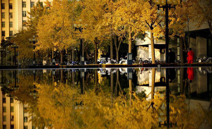 Autumn scenery at campus of Tsinghua University in Beijing
