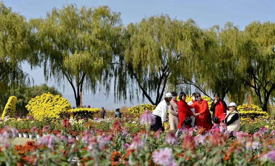 Tourists visit chrysanthemum park at Luanxie Village in Shahe, Hebei