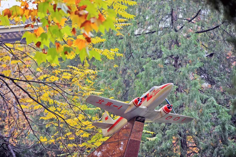 Autumn scenery of Beihang University in Beijing