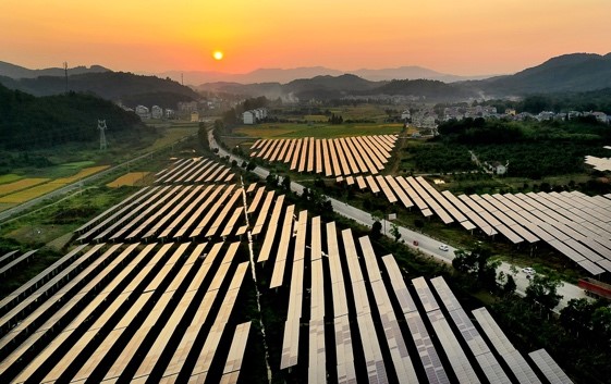 China leads world in new installed photovoltaic capacity