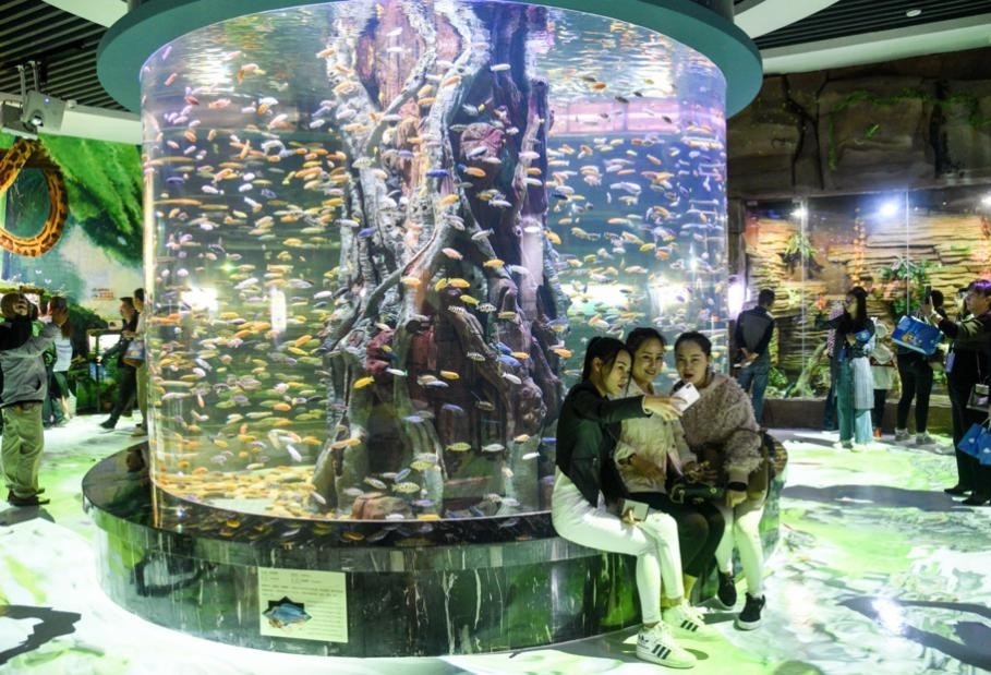 Tourists visit China's first freshwater aquarium for native species from the Mekong River in Xishuangbanna, southwest China's Yunnan province, Jan. 6. People's Daily Online/Li Ming