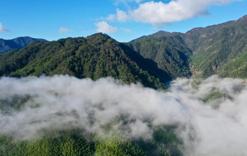 Scenery of Wuyishan National Park in SE China
