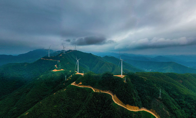 Work together to promote green Belt and Road