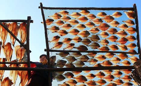 Fishermen dry fish in Qingdao, E China
