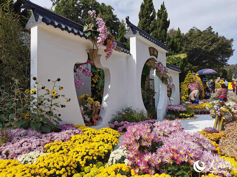 Chrysanthemum Festival held in Guangzhou, South China