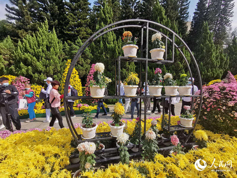 Chrysanthemum Festival held in Guangzhou, South China