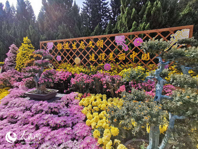 Chrysanthemum Festival held in Guangzhou, South China