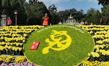 Chrysanthemum Festival held in Guangzhou, South China