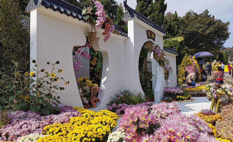 Chrysanthemum Festival held in Guangzhou, South China