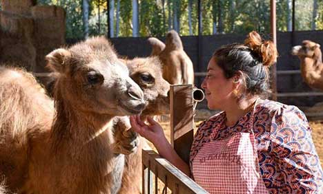 Village in Xinjiang develops featured industry, bids farewell to poverty