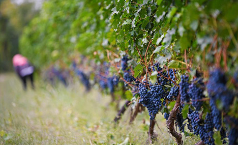 Understanding China's fight against poverty