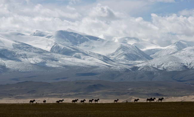 Herdsmen in Sanjiangyuan area protect environment