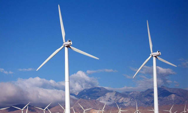 Green growth powers quality development in east China city